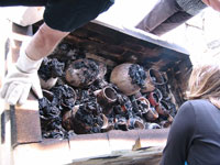 Workshop mit Jimmy Clark